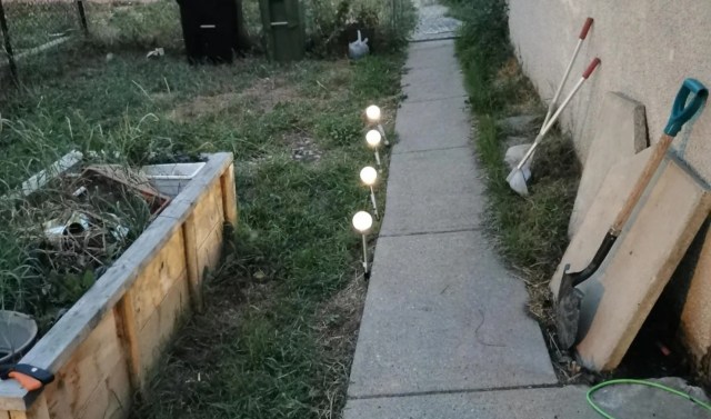 One Redditor shared a bundle of images showing their small yard's transformation from a simple grass patch in 2021 to a native plant garden.