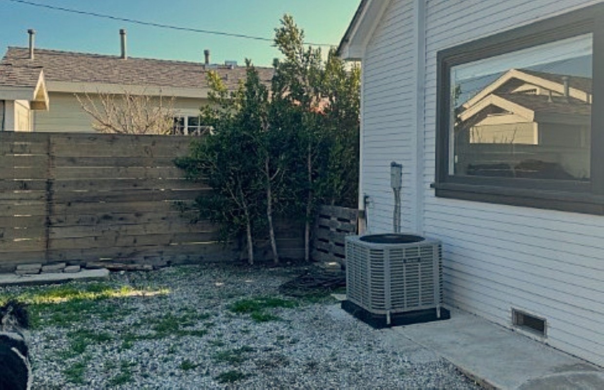 A Los Angeles design duo shared the transformation of an urban yard into a thriving native plant lawn.