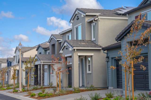 One Redditor was threatened by their HOA over bird feeders — now they're finding sneaky new ways to feed the birds.