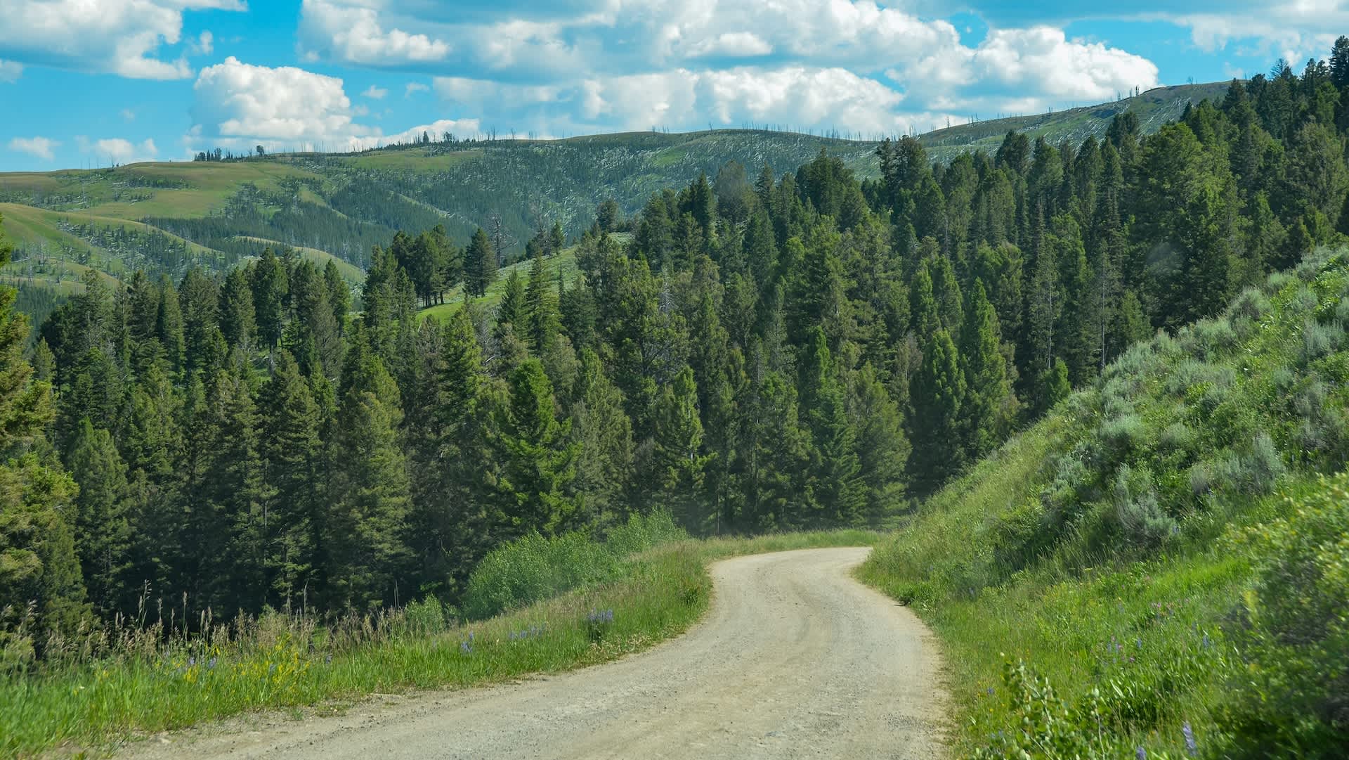 National park tourists spark outrage after getting caught breaking rules in broad daylight: 'They should be permanently banned'