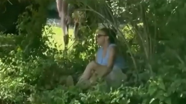 A video showing someone attempting to "shoo" a massive bison has sparked disbelief online as viewers reacted to yet another human-animal encounter.