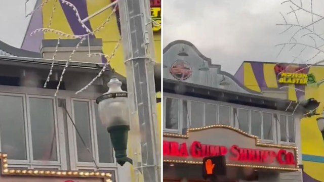 A musician stumbled upon a black bear perched on top of an aquarium in Gatlinburg, Tennessee.