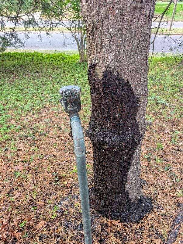 One homeowner's alarming discovery has sparked a heated discussion online about HOA oversight — or the lack of it.