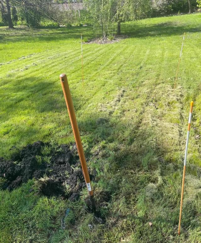 One Redditor shared their backyard transformation, creating a natural native plant haven for both the homeowner's and local wildlife's benefit.