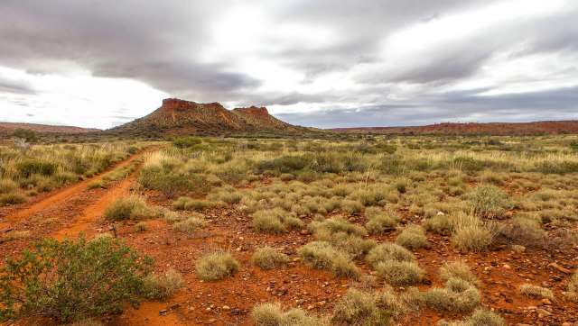 New research has determined that within the next decade or two, invasive cane toads will reach the Pilbara region in Western Australia.