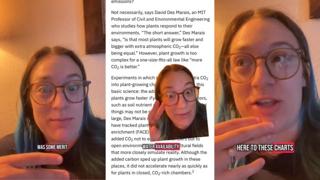 A former climate activist shared a few climate charts on TikTok, attempting to show that atmospheric carbon dioxide isn't an evil.
