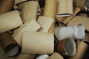 Toilet paper rolls are a popular tool for making DIY seed starters at home. However, one gardener found that they could get moldy.