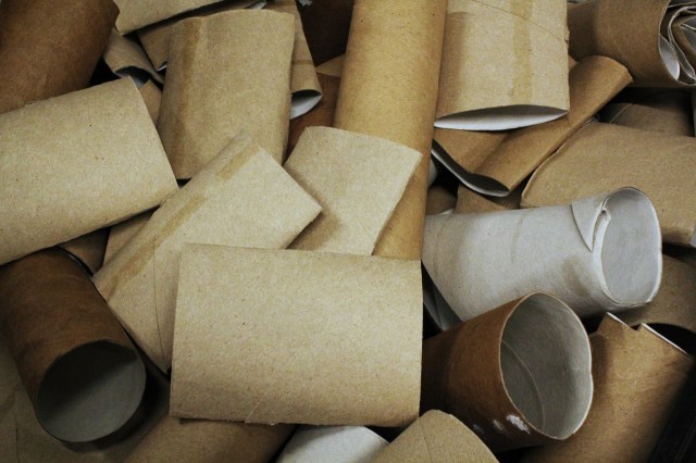 Toilet paper rolls are a popular tool for making DIY seed starters at home. However, one gardener found that they could get moldy.
