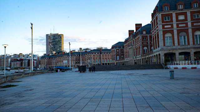 The chimango, a bird of prey in the falcon family, is quickly becoming a common sight in Argentina's cities.