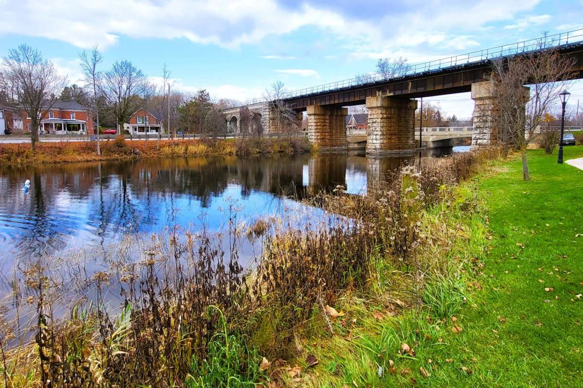 Residents of an Ontario town are concerned about numerous local cougar sightings.