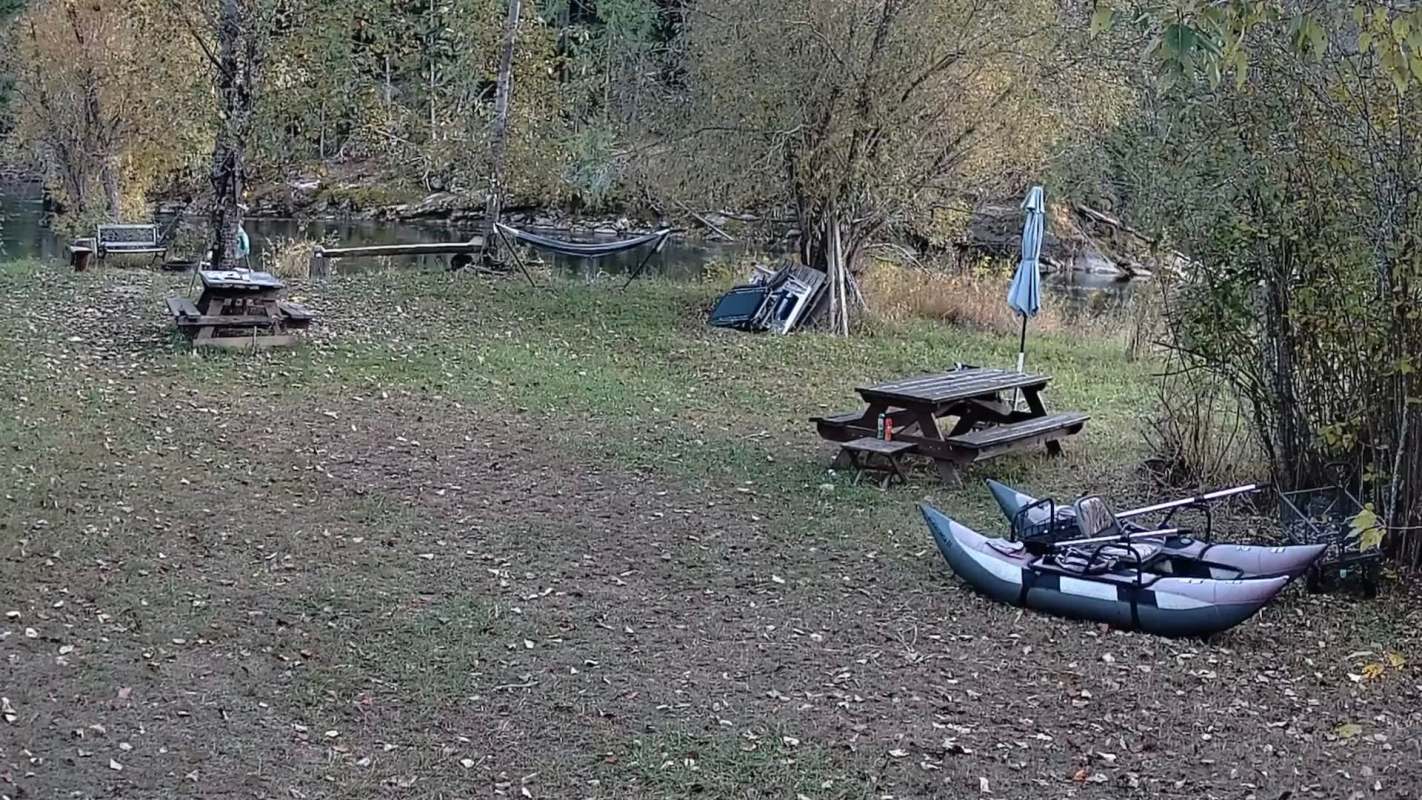 A Reddit video of a cougar walking through a piece of land near a river demonstrates how human-wildlife interactions have become increasingly common.