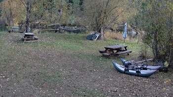 A Reddit video of a cougar walking through a piece of land near a river demonstrates how human-wildlife interactions have become increasingly common.