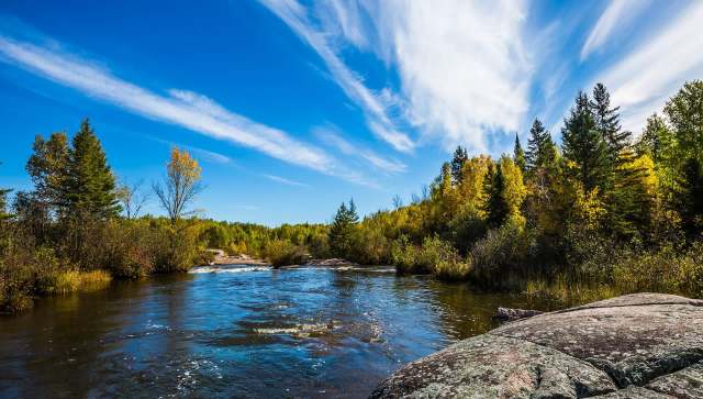 One Manitoba man was shocked when a trail camera caught a cougar on film — a species not known to live in the area.