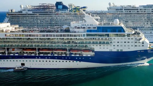 A photo posted to Reddit is freaking people out because of how large two different cruise ships look in the image.