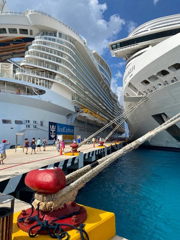 A photo posted to Reddit is freaking people out because of how large two different cruise ships look in the image.