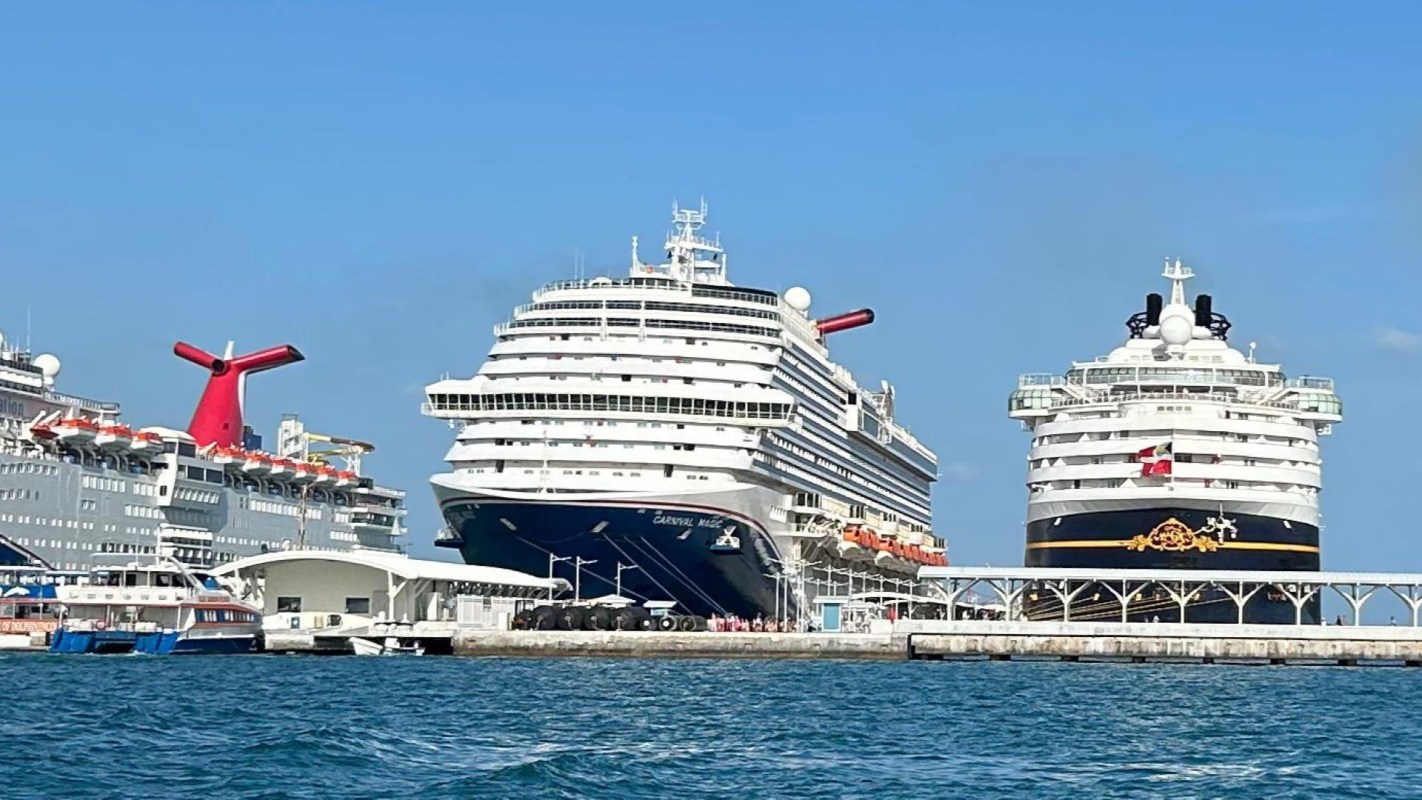 A photo circulating on Reddit has kicked off a conversation about how enormous cruise ships have become.