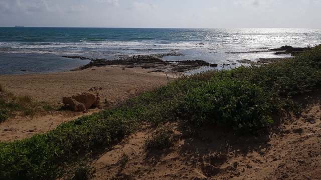 A photographer revealed a disturbing photo of a dead shark washed up on Beit Yanai Beach in Israel. Researchers believe it succumbed to the changing climate.