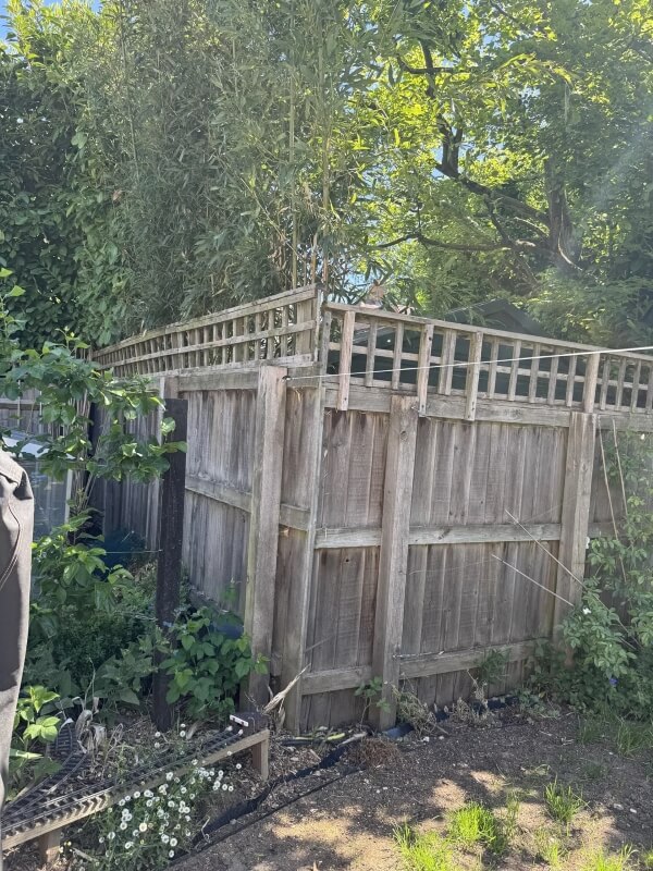 Homeowners are up in arms after a Reddit post detailed their battle with a neighbor's invasive bamboo.