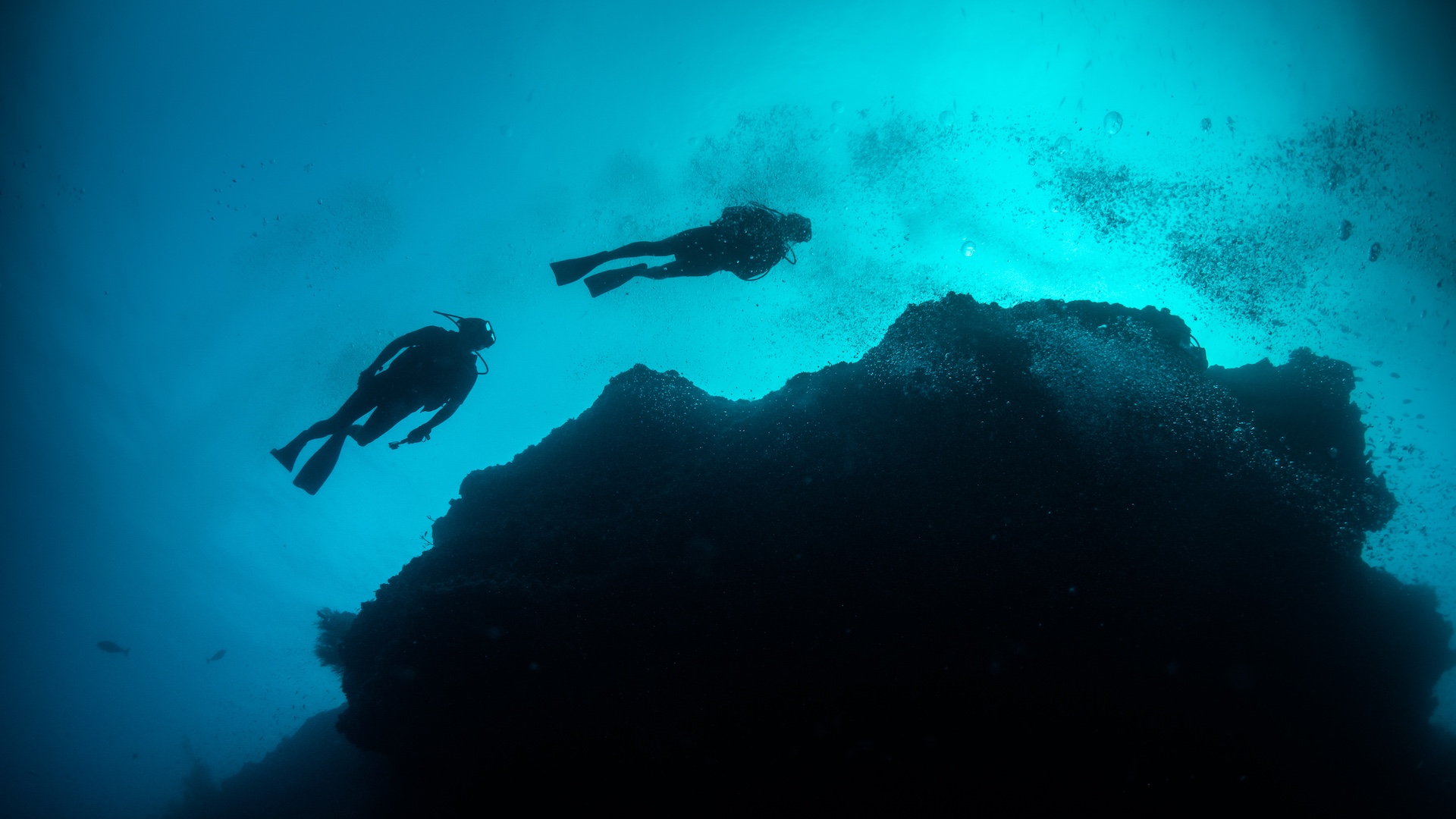 Researchers stunned after making glowing discovery on deep-sea expedition: 'Might go on to be important'