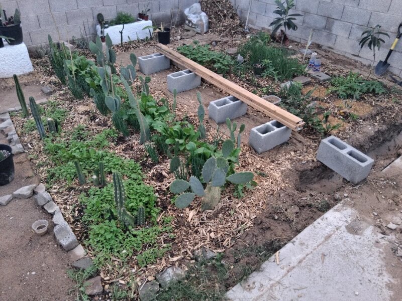 One Redditor shared their incredible permaculture garden transformation, revealing how they turned a small, barren plot into a lush paradise.