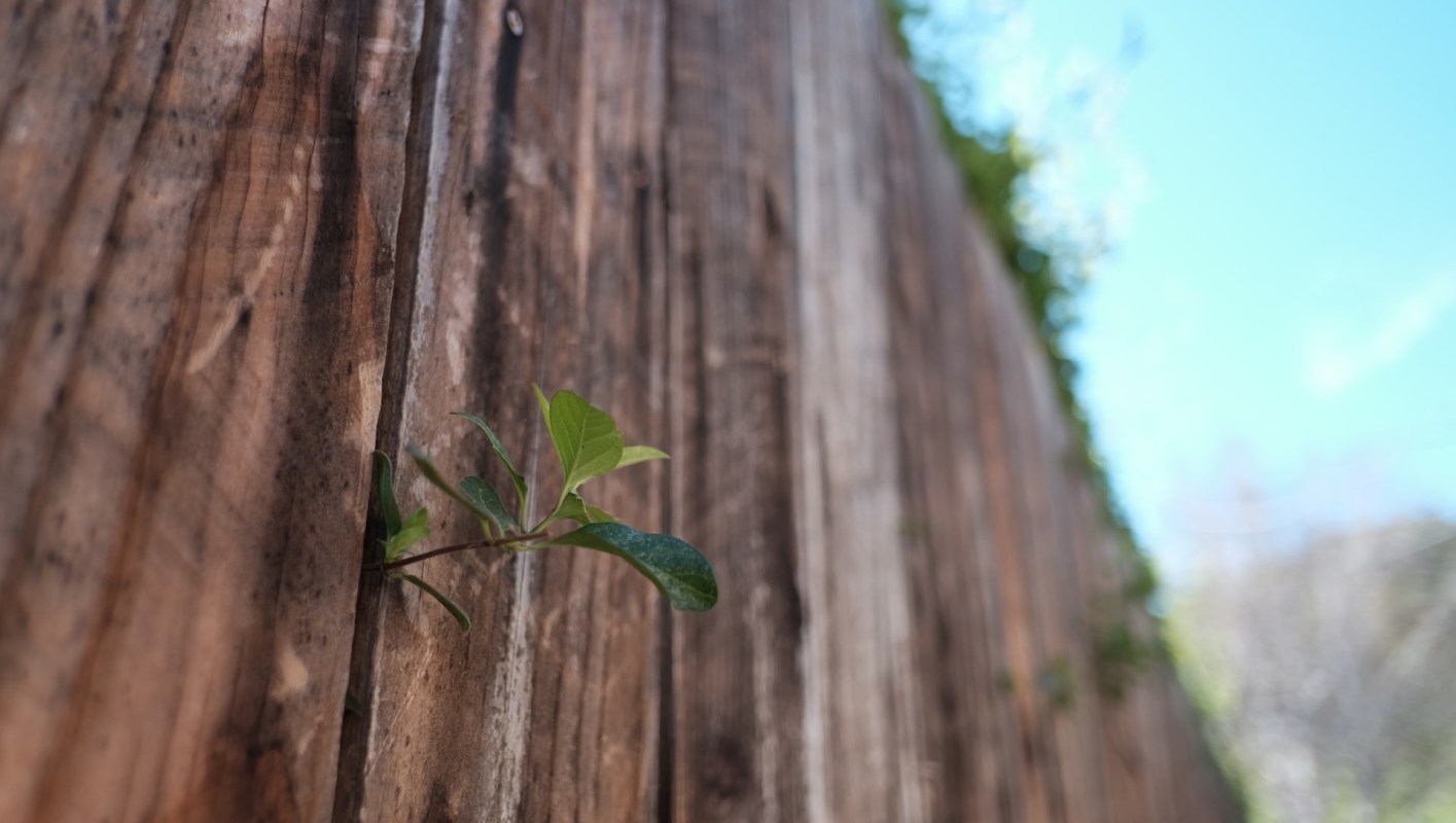 One Redditor shared a story about a neighbor with a diesel truck whose fumes fill their apartment — and other Redditors could relate.