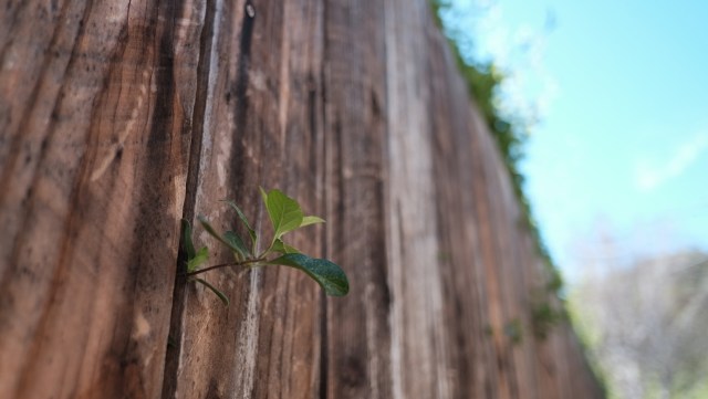One Redditor shared a story about a neighbor with a diesel truck whose fumes fill their apartment — and other Redditors could relate.