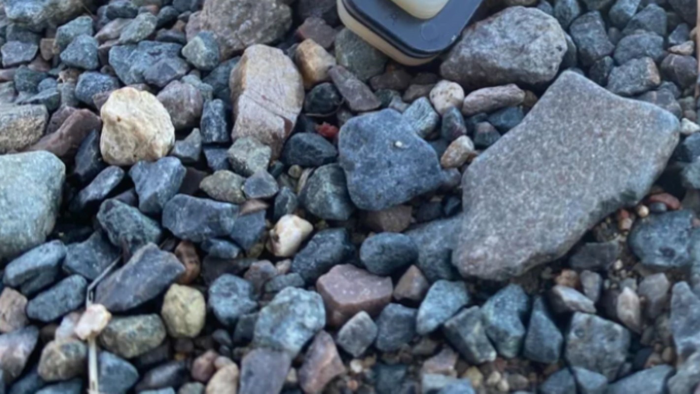 One Redditor was shocked to find litter from a disposable vape in their driveway.