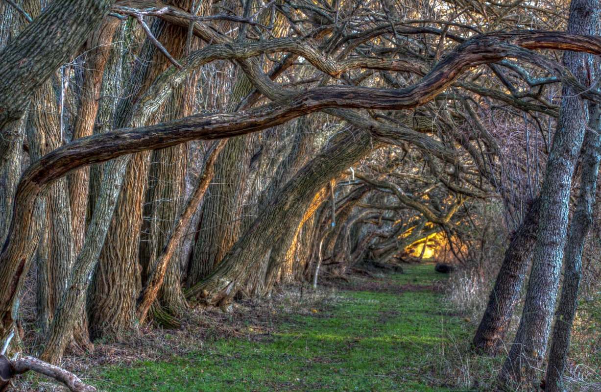 Rising global temperatures are still a major concern for scientists, but new research found that warmer and drier conditions might actually lower pollution.