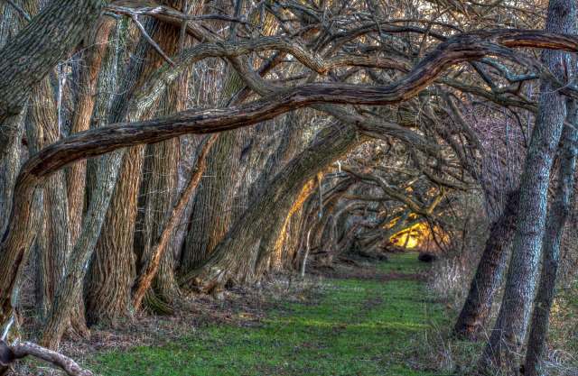 Rising global temperatures are still a major concern for scientists, but new research found that warmer and drier conditions might actually lower pollution.