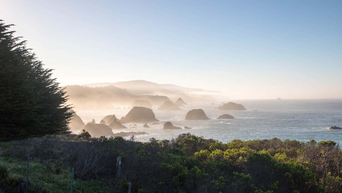 Researchers have identified a concerning rise in human-wildlife conflicts alongside droughts in California.