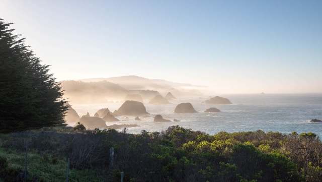 Researchers have identified a concerning rise in human-wildlife conflicts alongside droughts in California.