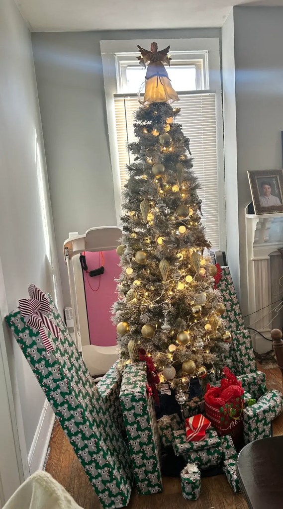 One dumpster diver shared how they were able to save several artificial Christmas trees and how others can do the same.