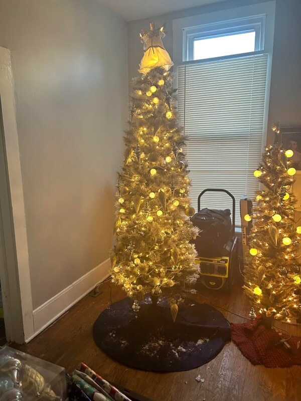 One dumpster diver shared how they were able to save several artificial Christmas trees and how others can do the same.