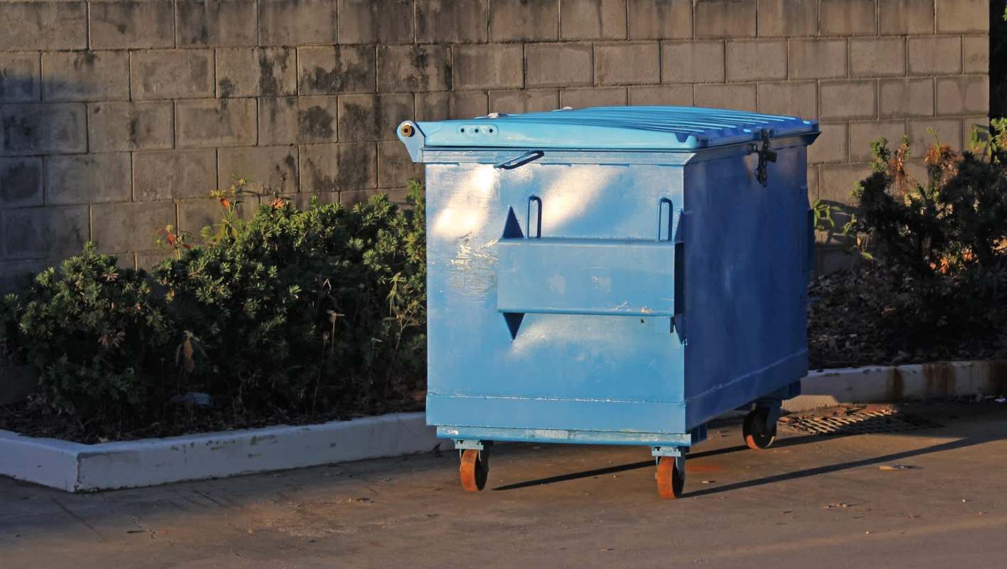 One Reddit user shared an impressive haul of rescued food, including 11 full bags of brown rice, from familiar honey-hole dumpsters.