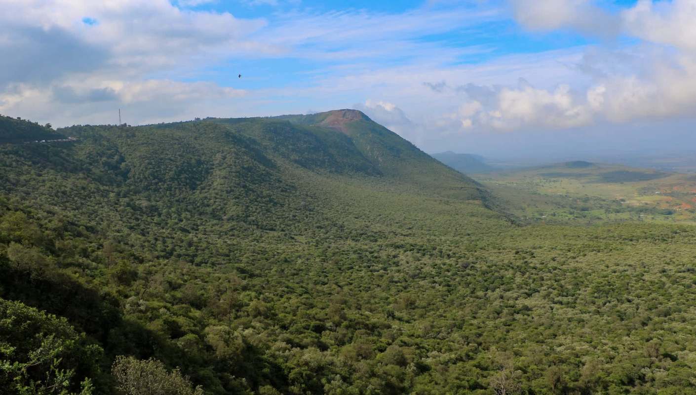 Conservation workers in Kenya are celebrating a moment of progress after a critically endangered eastern black rhino was born in the wild.