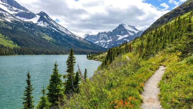 A short video was posted to TikTok of a tourist engaging in behavior contrary to park's rules and basic common sense.