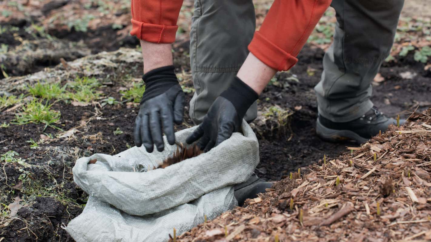 One Reddit user shared the infuriating story of how an entitled neighbor destroyed their lawn and garden.