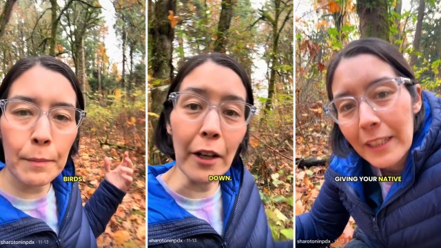 One gardener shared an innovative fall lawn cleanup strategy, encouraging others to help their native habitats and save time.