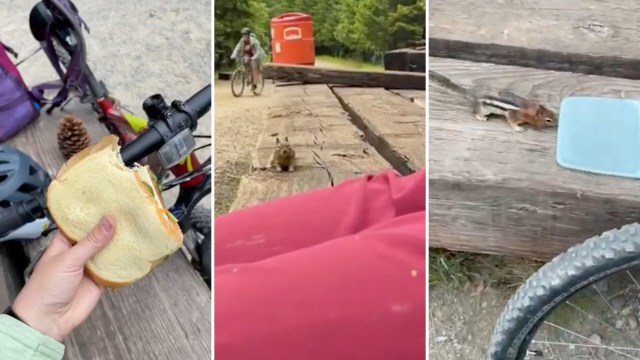 An environmental educator explained why it's harmful to feed wild animals in a viral YouTube video.