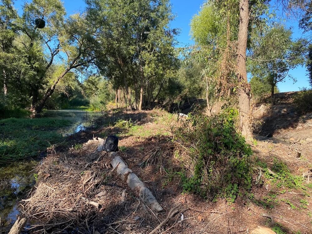 One Redditor went above and beyond, clearing a shocking amount of litter from his local creek on a single bike trip.