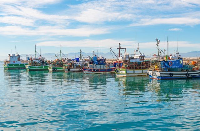 Researchers tracked endangered African penguins in South Africa and compared their movements with fishing boat activity from 2016 through 2019.