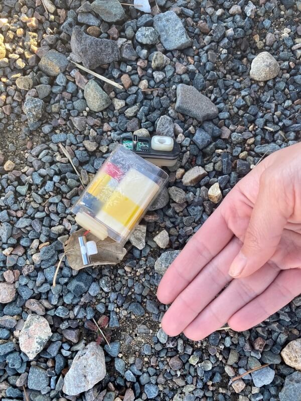 One Redditor was shocked to find litter from a disposable vape in their driveway.