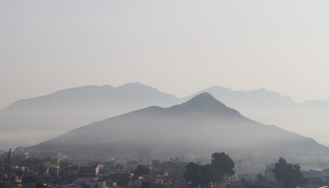 The “unstoppable weed” is rapidly spreading along roadsides, bike lanes, and in protected natural areas.