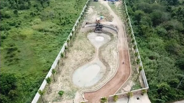 One Reddit user showed off their incredible native lawn transformation, where a dying pineapple field turned into a thriving tropical paradise.
