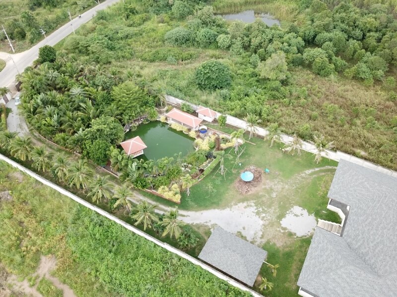 One Reddit user showed off their incredible native lawn transformation, where a dying pineapple field turned into a thriving tropical paradise.