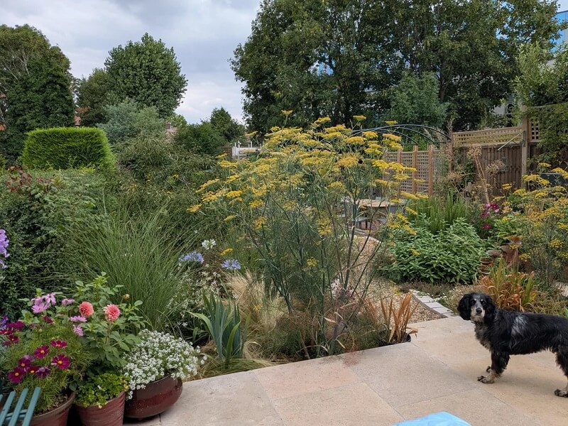 A British gardener wowed fellow Redditors with a series of pictures showcasing their yard's incredible transformation.