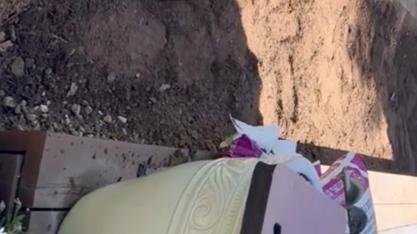 One couple's garden transformation went viral on TikTok, inspiring others to rewild their outdoor spaces.