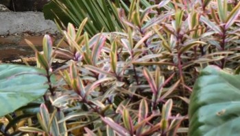 Living off-grid may sound like a pipe dream, but some people are making it happen — and installing solar panels is a huge help.