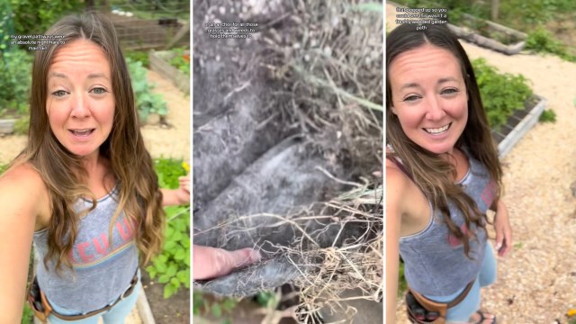 One gardener's experience reveals the absolute nightmare landscape fabric can create on gravel paths.