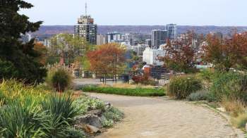 This is the story of how one homeowner used goatscaping to get rid of pesky invasive plants on her property.